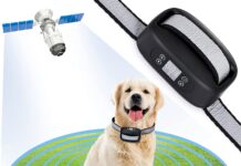 gps dog collar