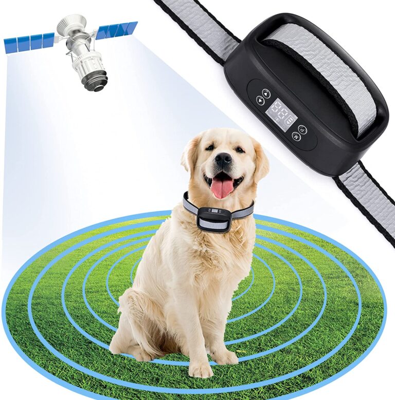 gps dog collar