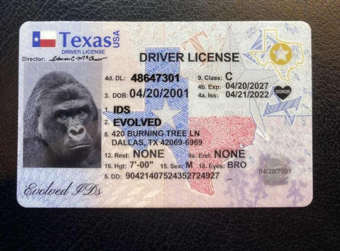 Best Fake Id Websites [Updated April 2023] - TIDEWATER